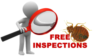 Free-Residential-and-Commercial-Bed-Bug-Inspections