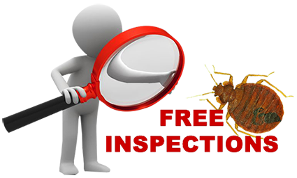 Free-Residential-and-Commercial-Bed Bug inspections