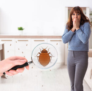 Bed bug exterminator company in Plymouth MI