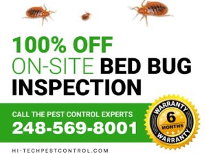 Hi-techpestcontrol | Bed Bug Exterminator, Troy MI
