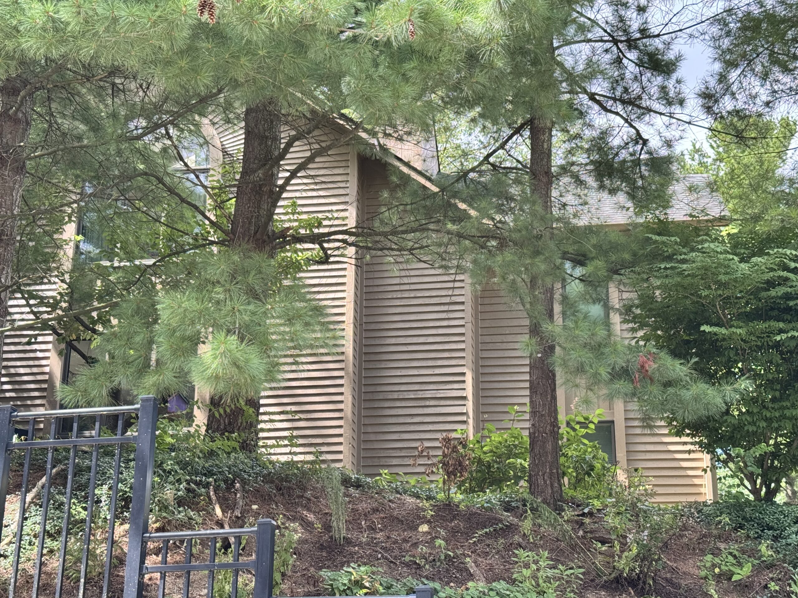 pest-control-washtenaw_6693