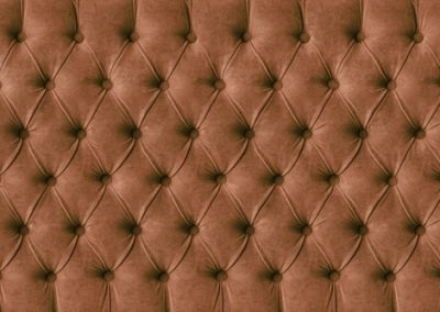 bed bugs on headboards