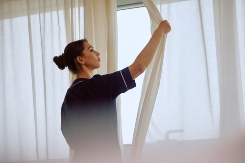 bed bugs in curtains