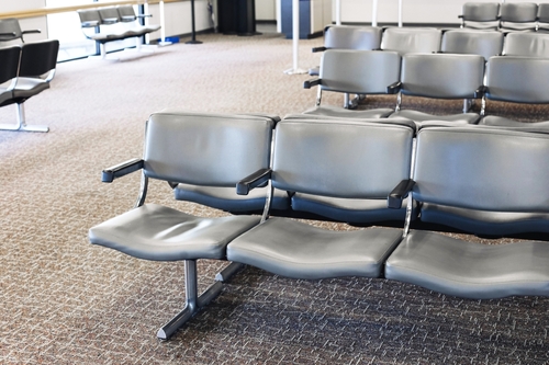 bed bug exterminator