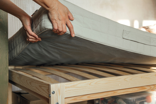 Save bed bug furniture