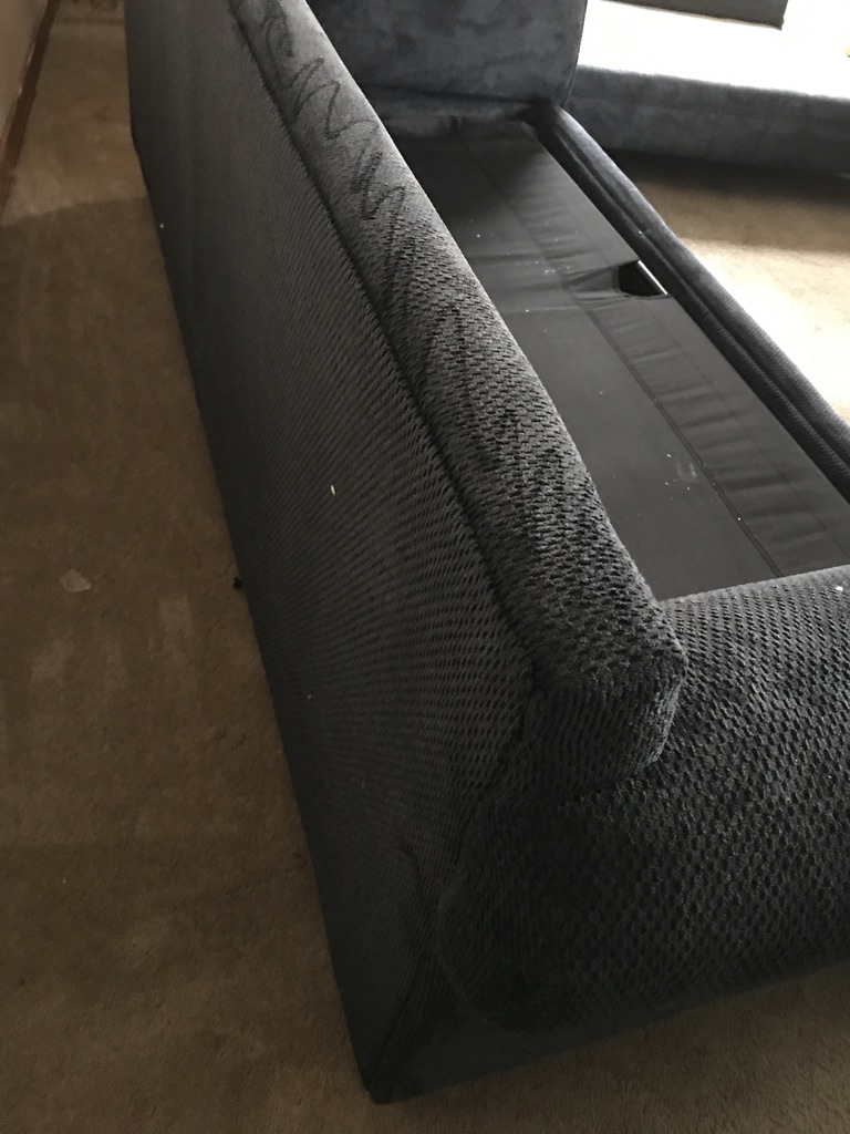 couch treated and cleaned