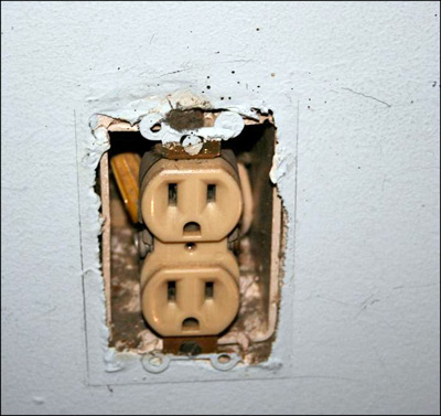 bed bugs in outlet<br />
