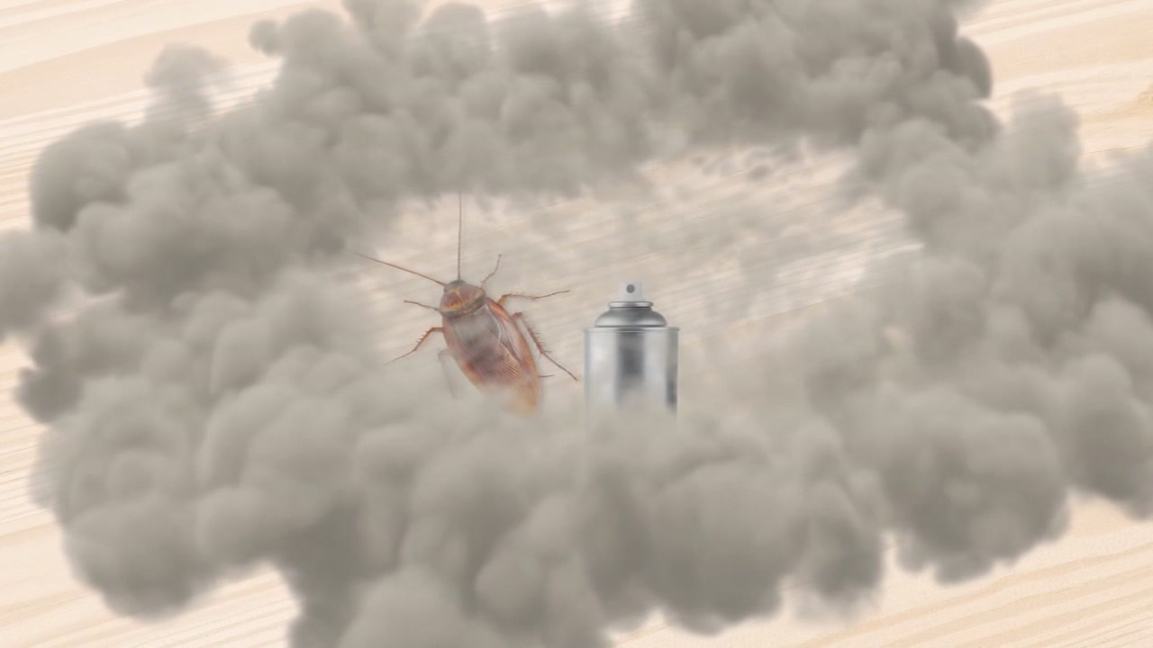 Bed bugs and Foggers