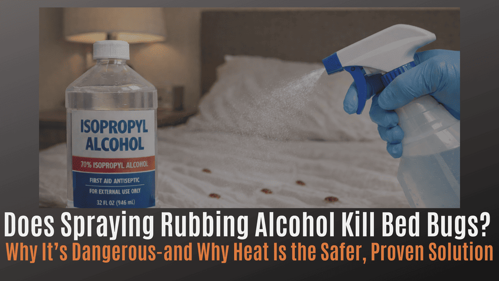 Bed bugs and alcohol