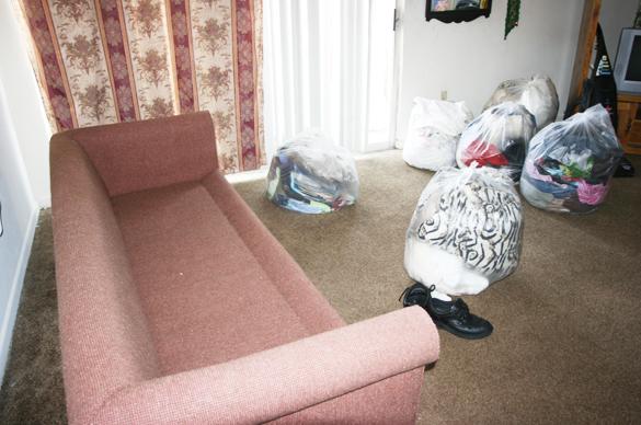bed bug heavy infestation in home