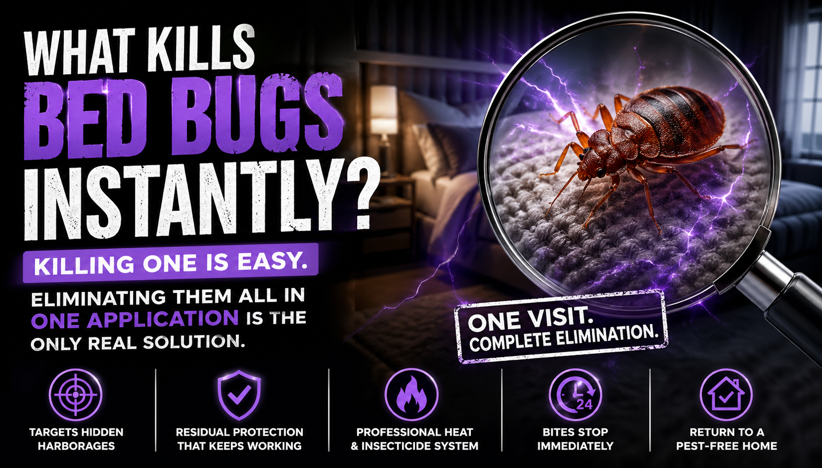what kills bed bugs instantly