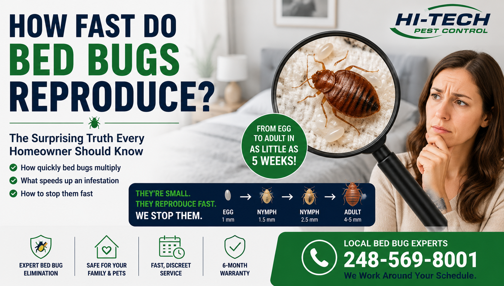 How fast do bed bugs reproduce in Homes and Businesses